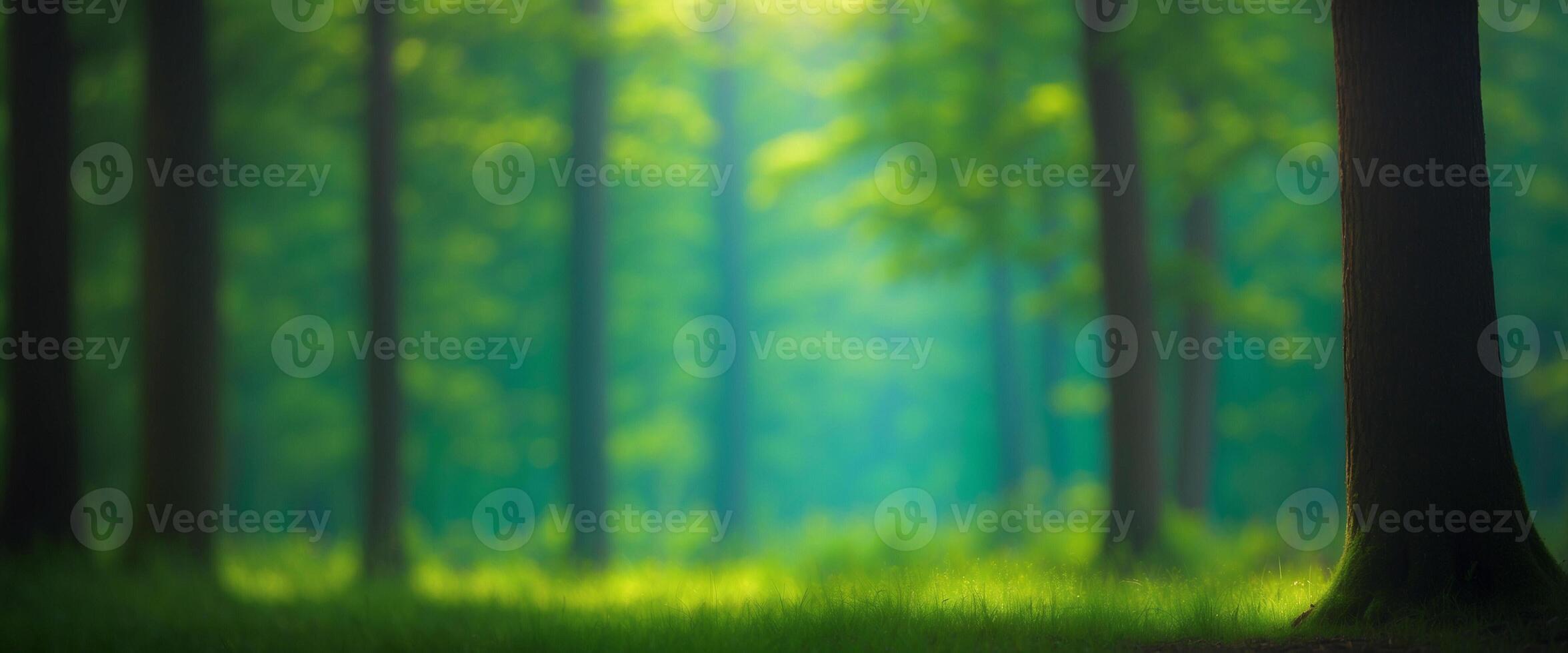 A blurry image of a forest with trees photo