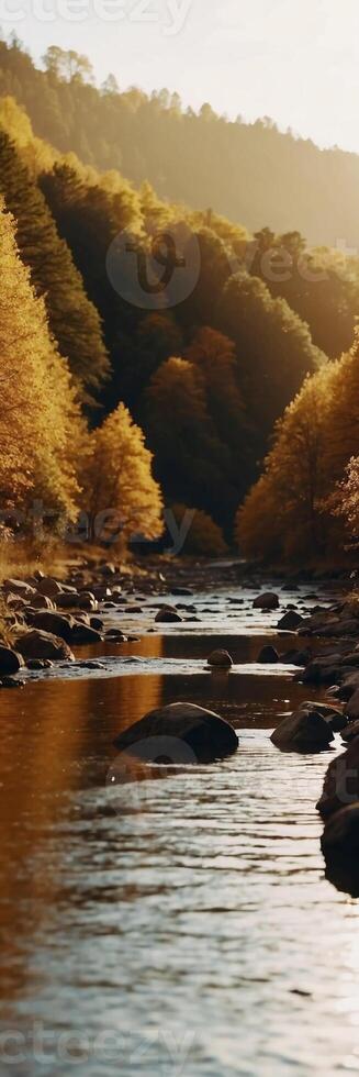 Autumn river, autumn trees, autumn landscape, autumn trees, autumn landscape, autumn trees, photo