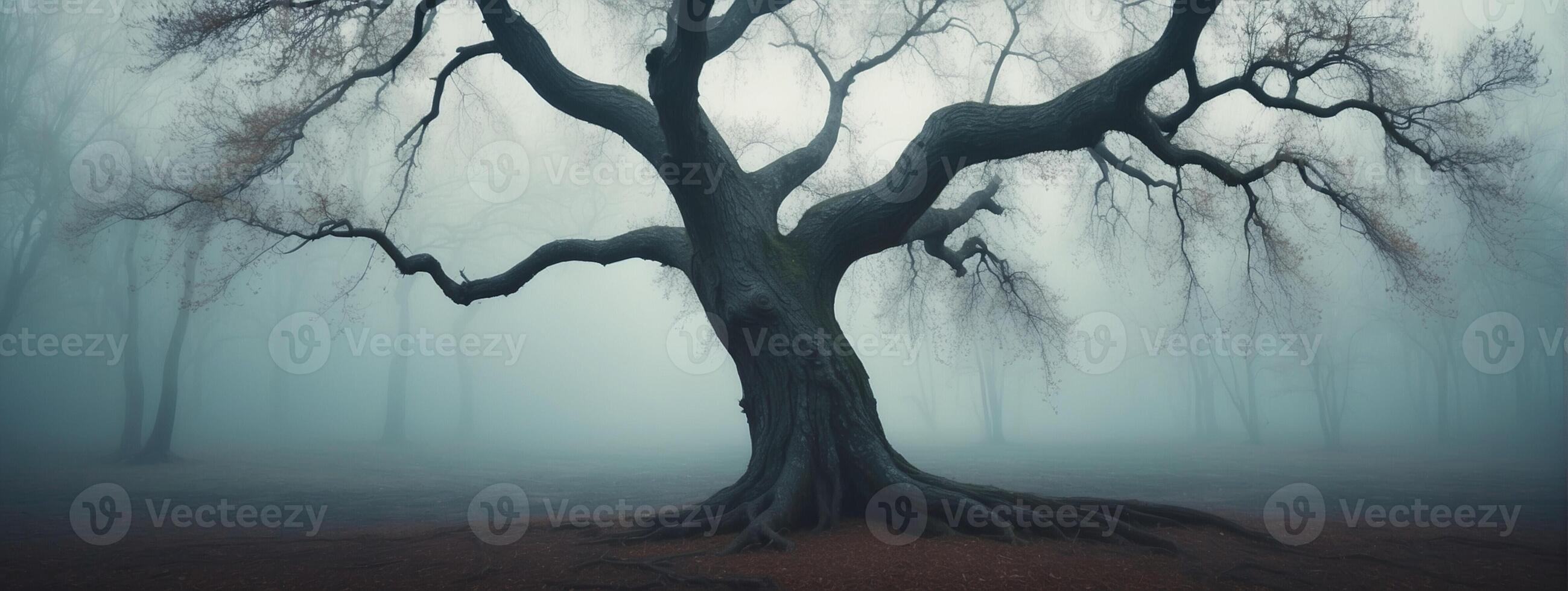 A tree in the fog with no leaves photo