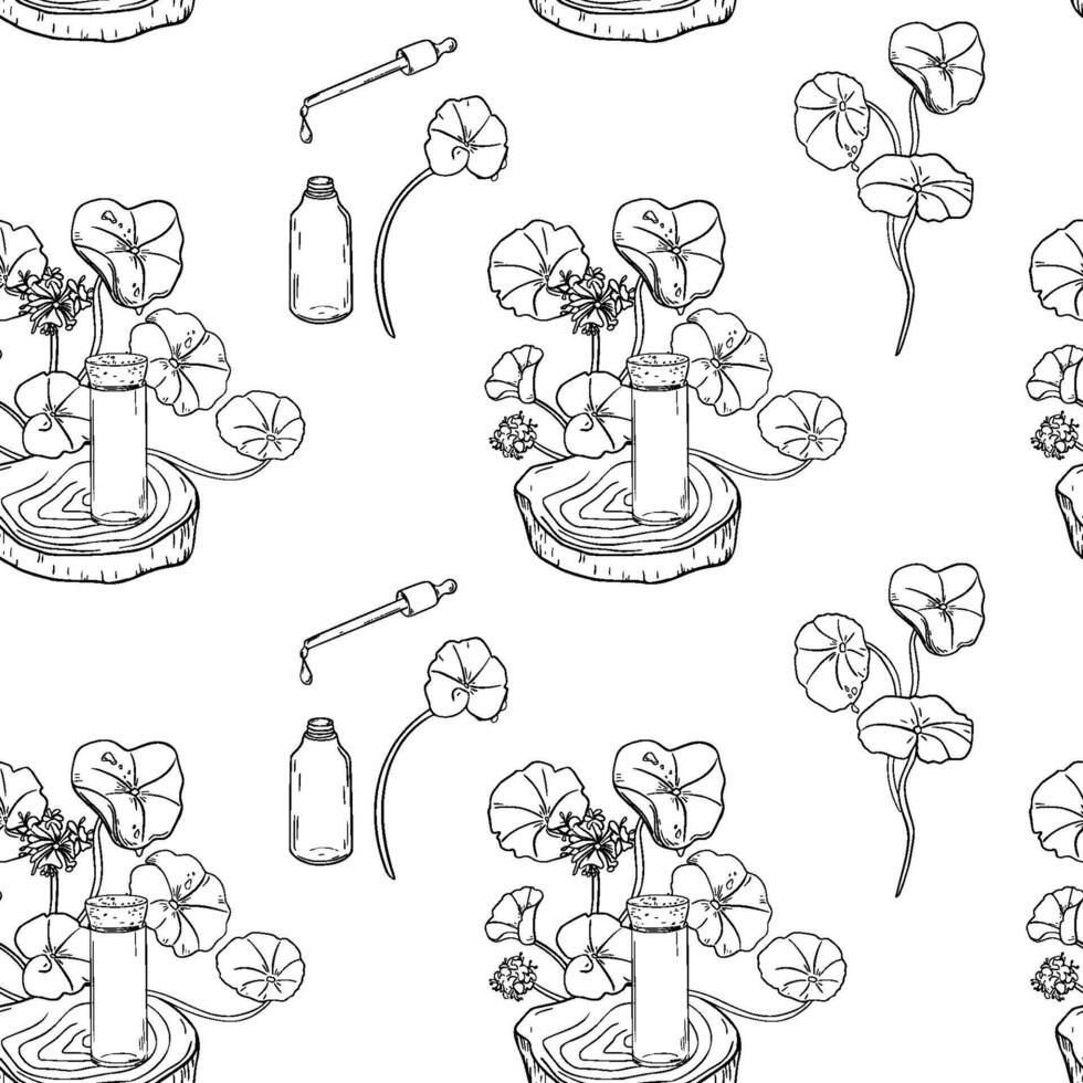 Centella asiatica essential oils on wooden stand black white seamless pattern isolated. Pennywort medicinal plants and serum bottle hand drawn monochrome linear sketch on repeated background. vector