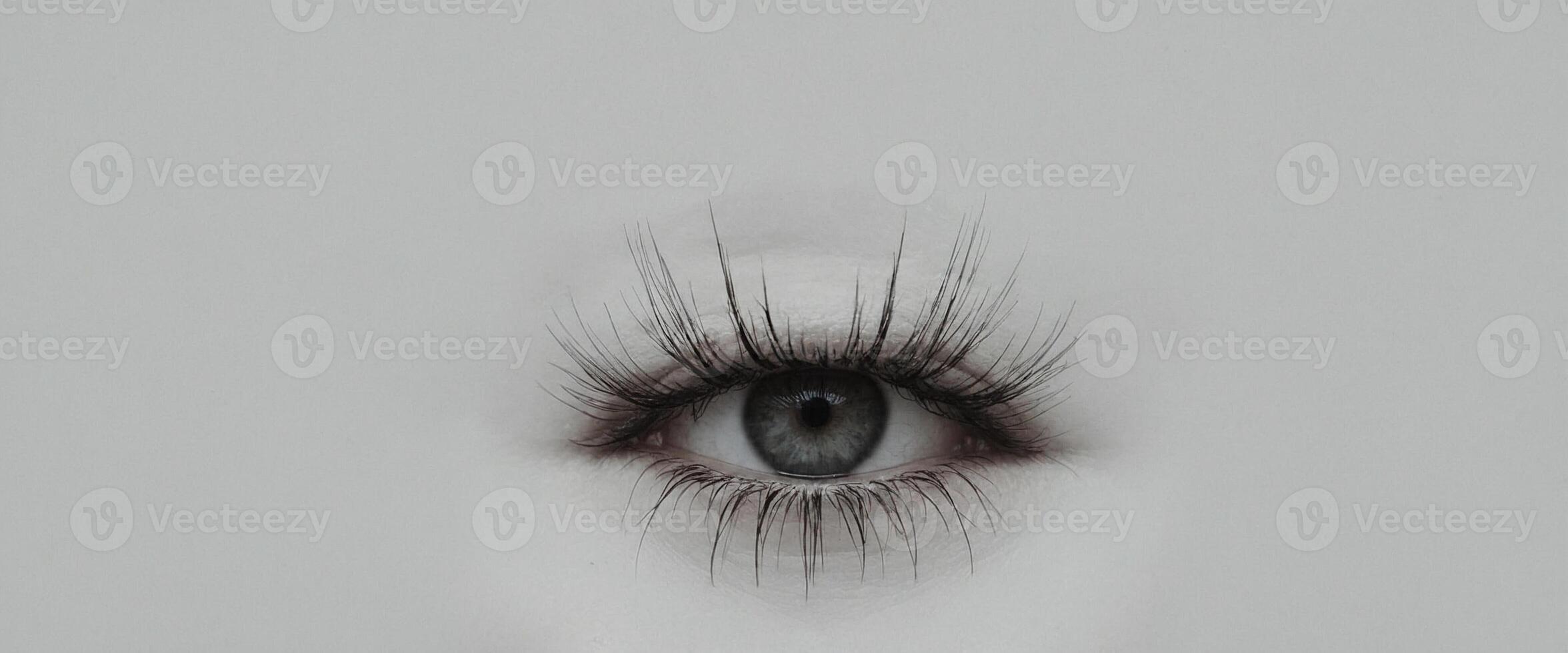 A close up of a woman's eye with long eyelashes photo