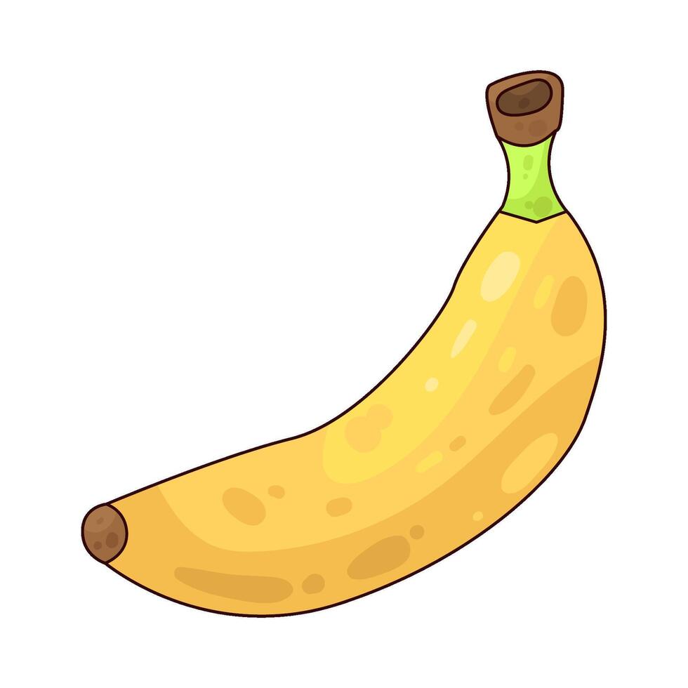 Illustration of Banana vector