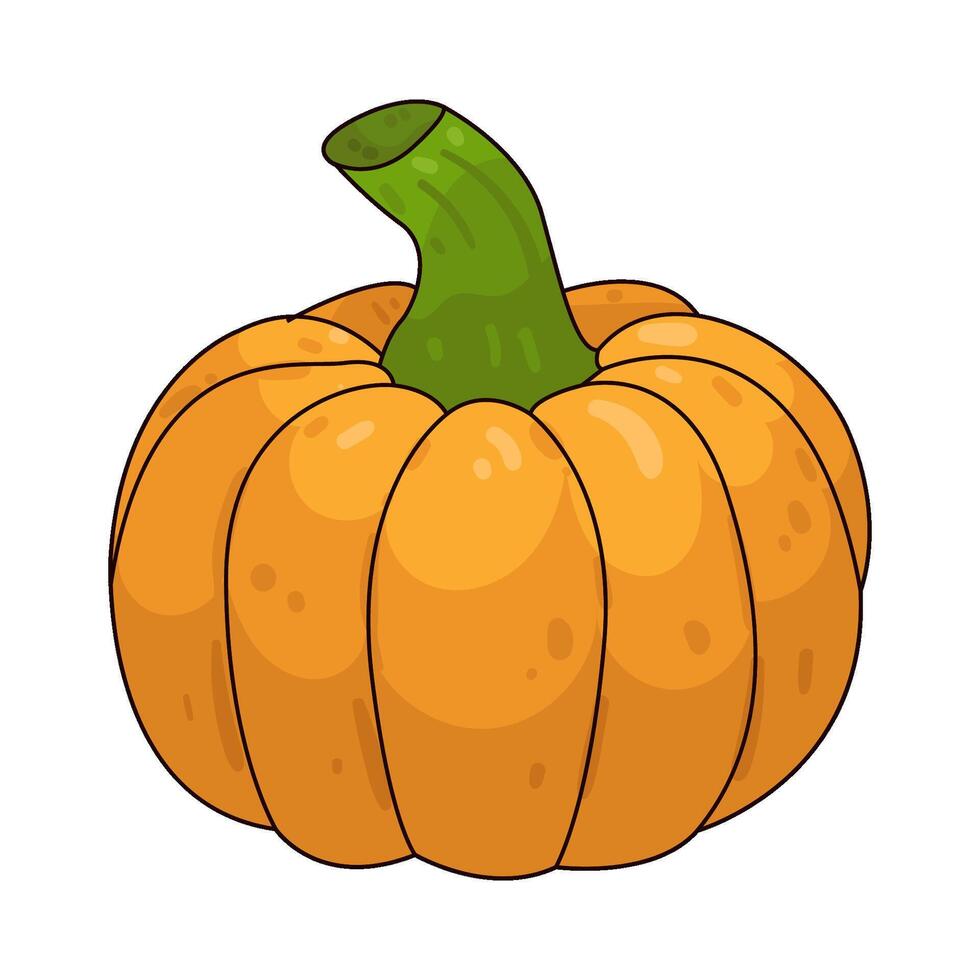 Illustration of pumpkin vector