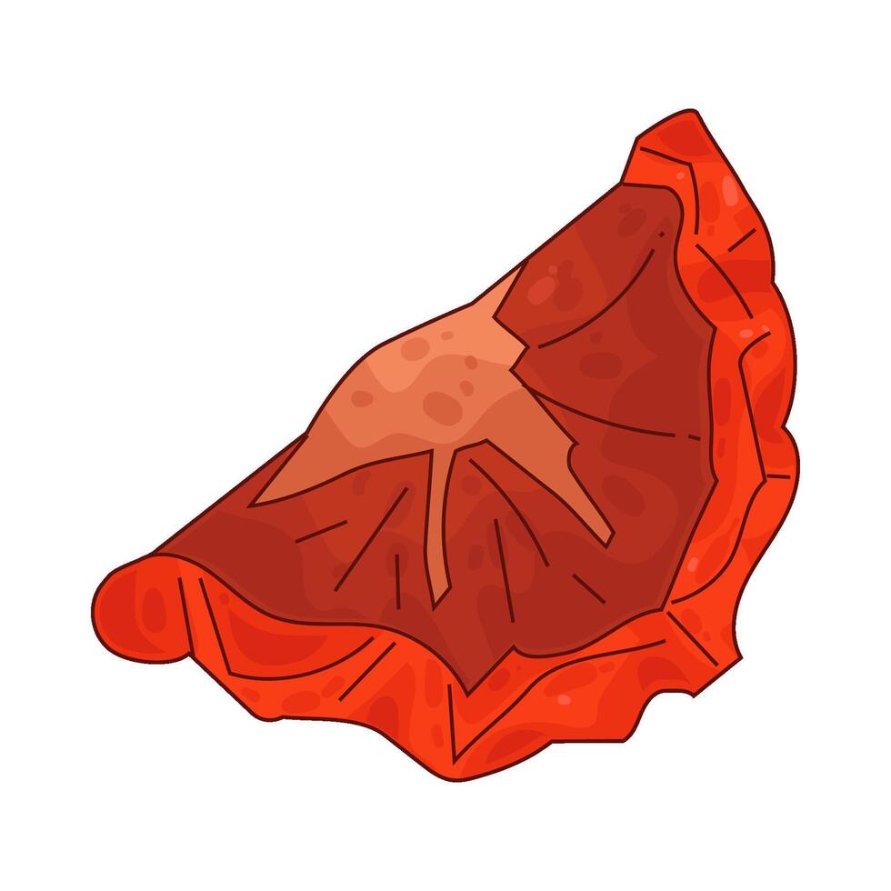 Illustration of Sun Dried Tomato vector
