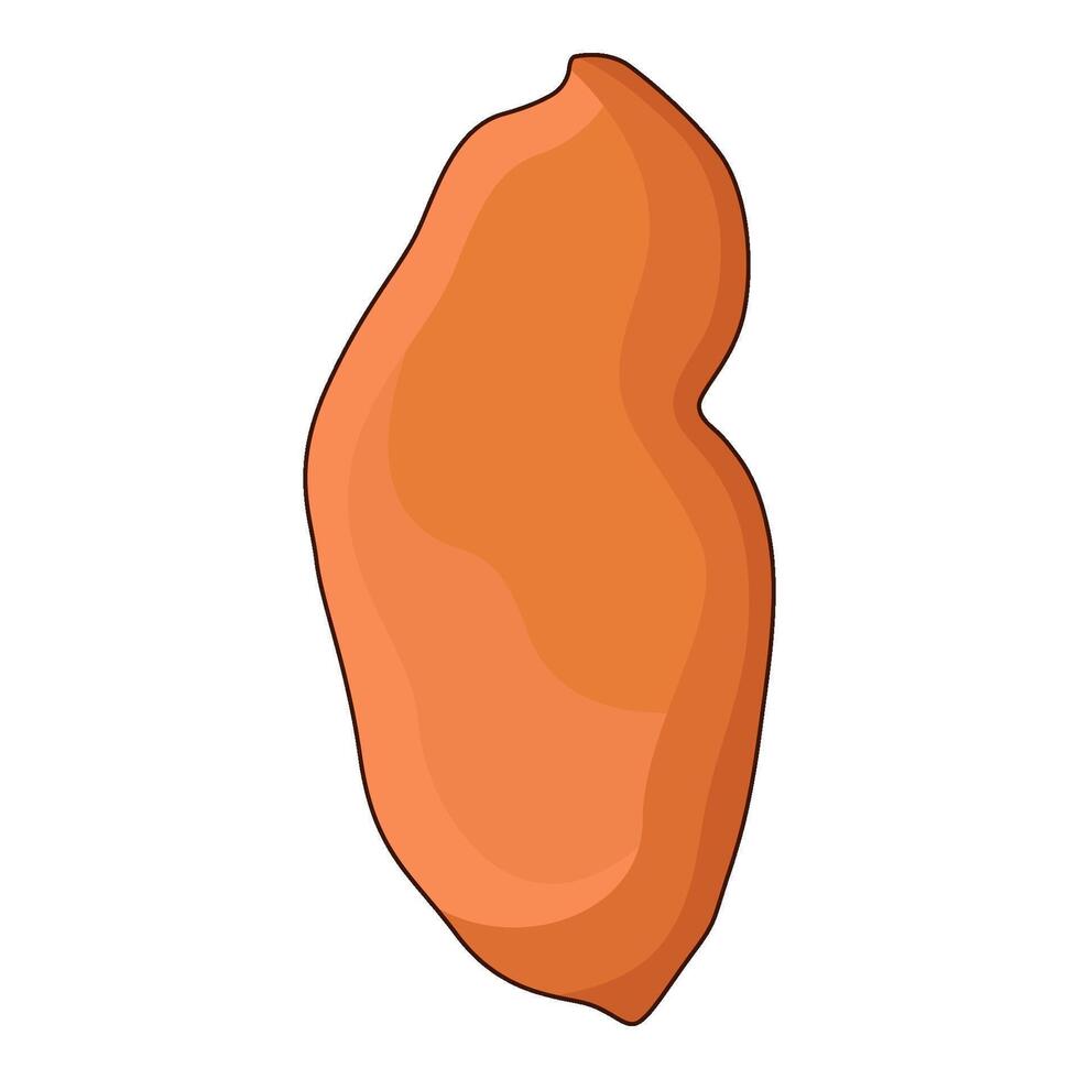 illustration of yam vector