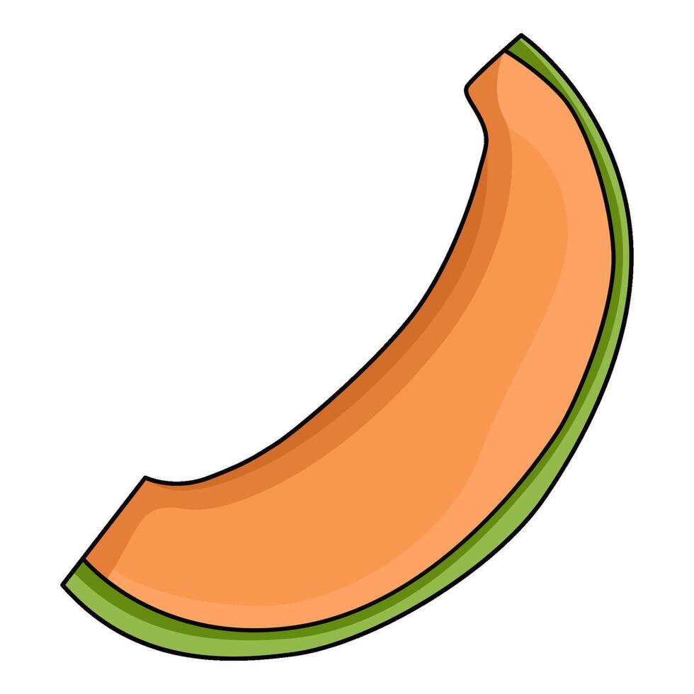 illustration of Melon slice vector