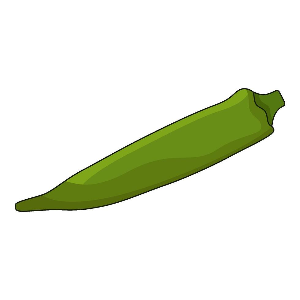 illustration of okra vector