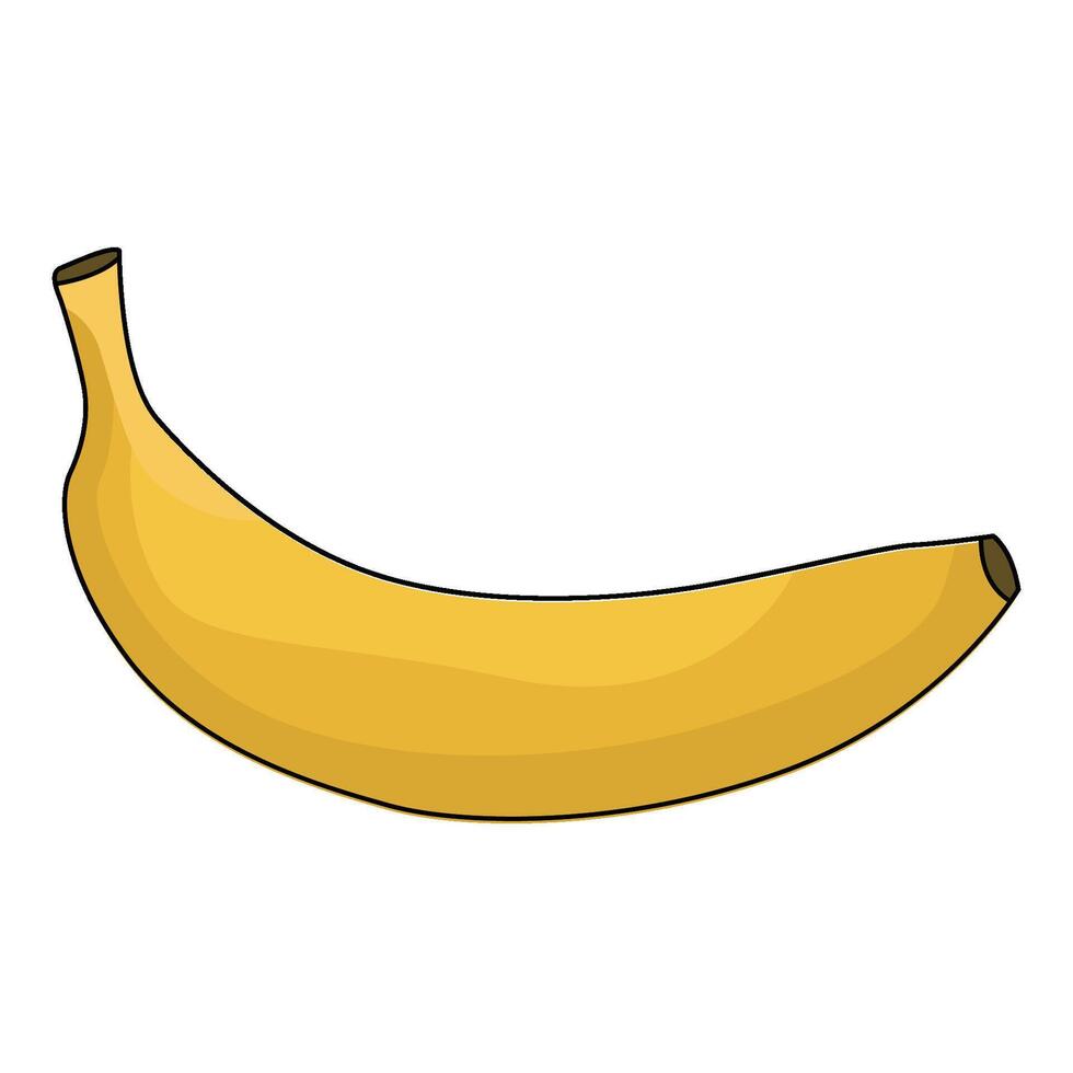 illustration of Banana vector