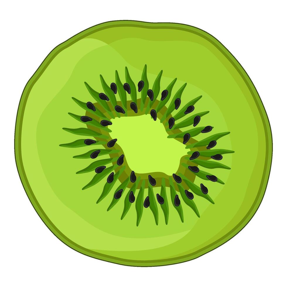 illustration of Kiwi slice vector
