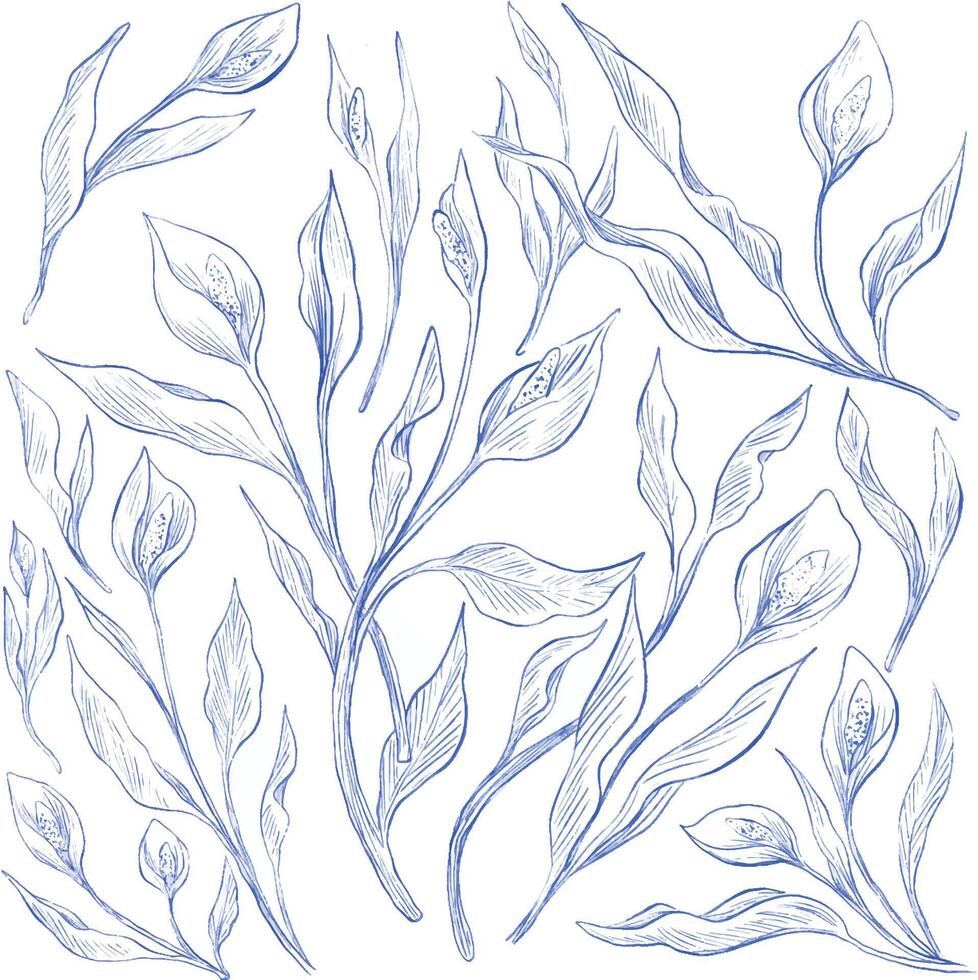 anthurium botanical floral pattern sketch illustration vector