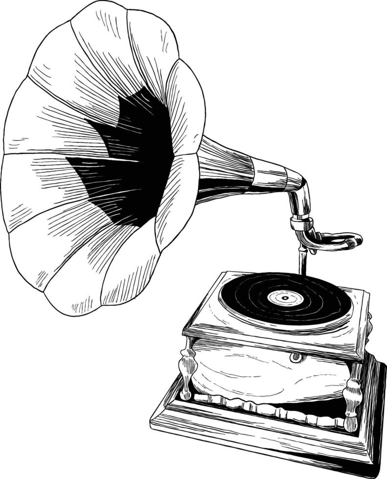 Vintage gramophone botanical sketch illustration vector