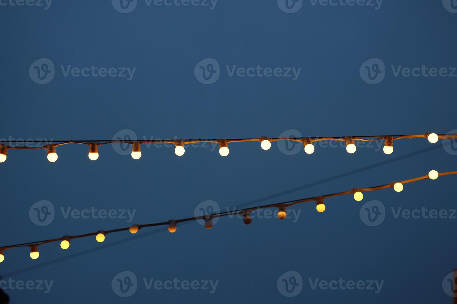 The sparkling twinkling lights create a beautiful display against a deep blue night sky photo