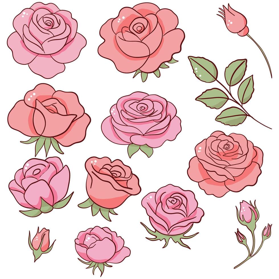 Pink Rose Clipart Set with Buds and Leaves vector