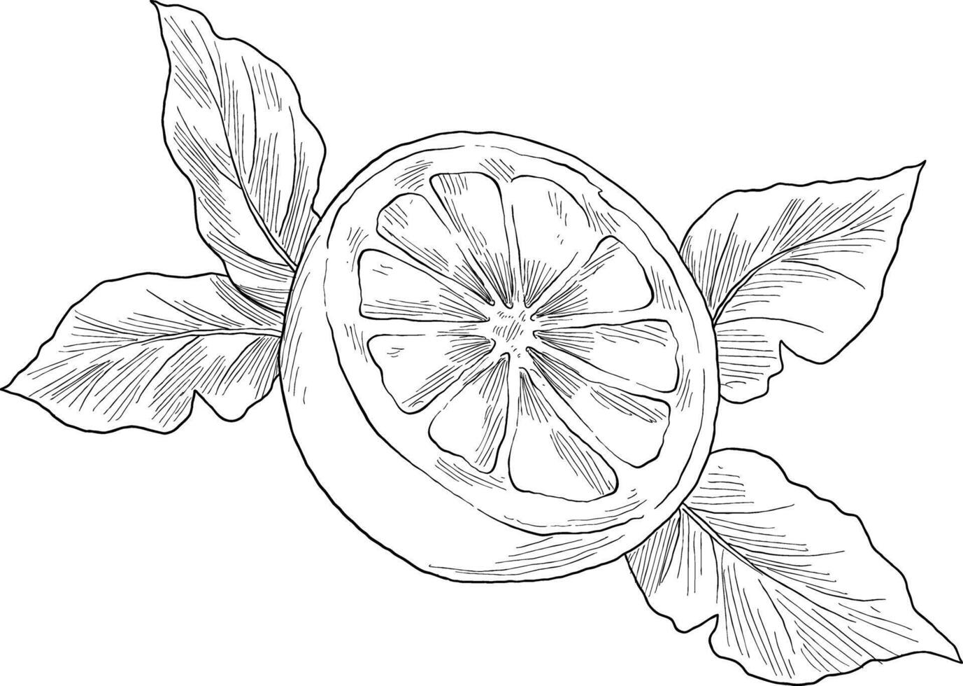 Lemon fruit hand drawn sketch illustration vector