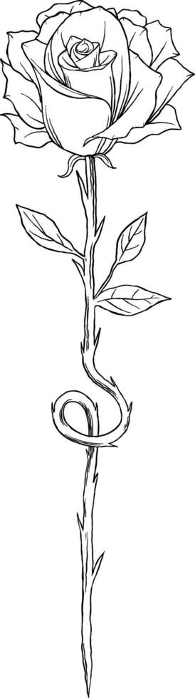 Rose minimalist tatto sketch illustration vector