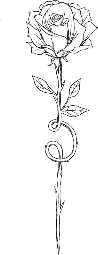 Rose minimalist tatto sketch illustration vector