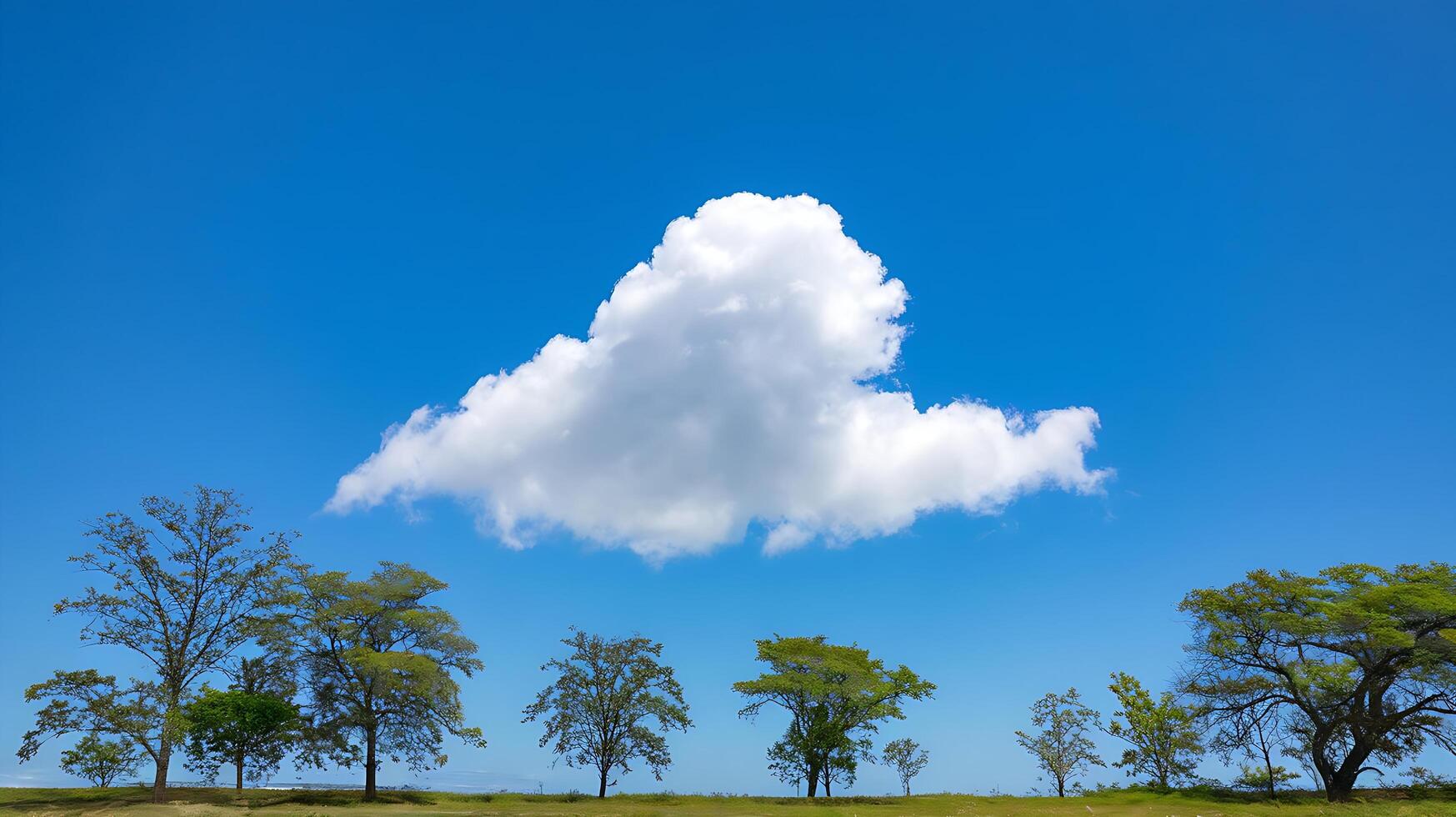 A large cloud is floating in the sky above a field photo