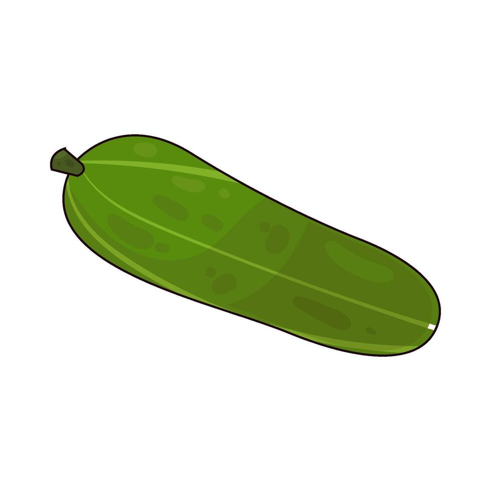 Illustration of cucumber vector