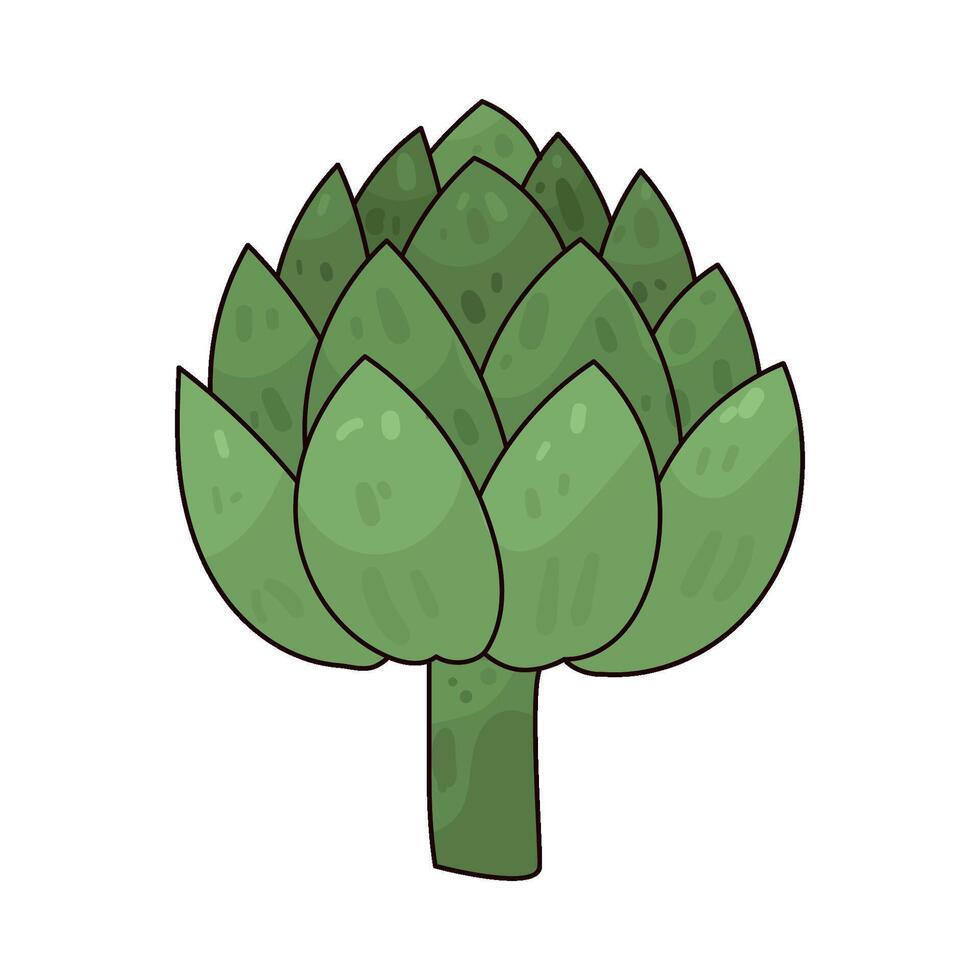 Illustration of artichoke vector