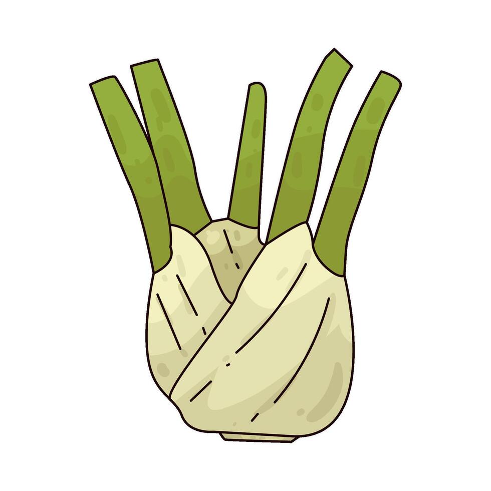 Illustration of Fennel vector