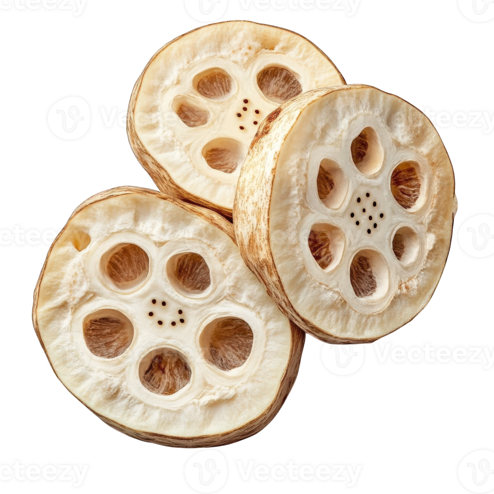 Dried Lotus Seed Pods Arranged on Black Background, on transparent background png