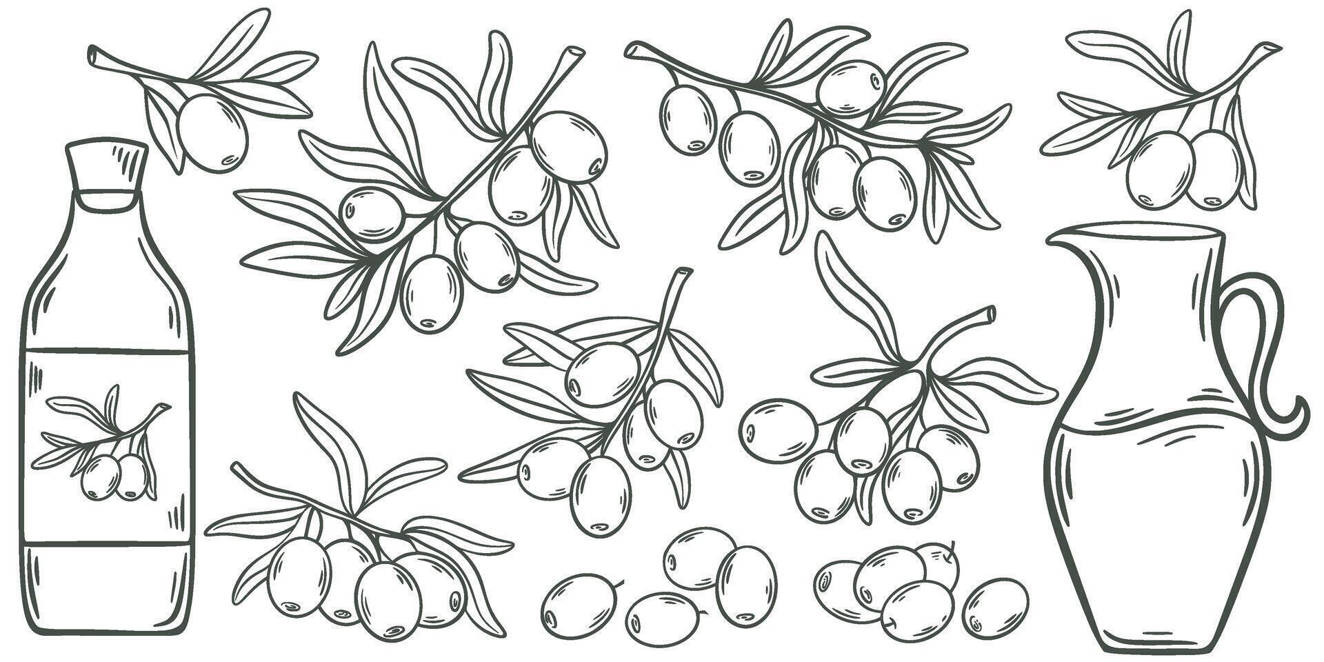 Ink hand engraving olives branches and oil set vector