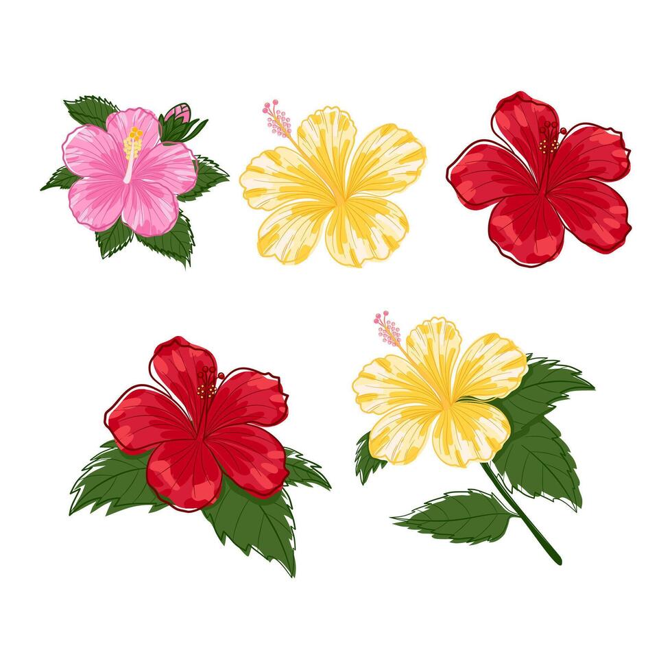 Set of Hand drawn Hibiscus Flower. Hibiscus flower illustration, featuring soft lines and intricate details. Perfect for nature-inspired designs, logos, and decorative projects. vector