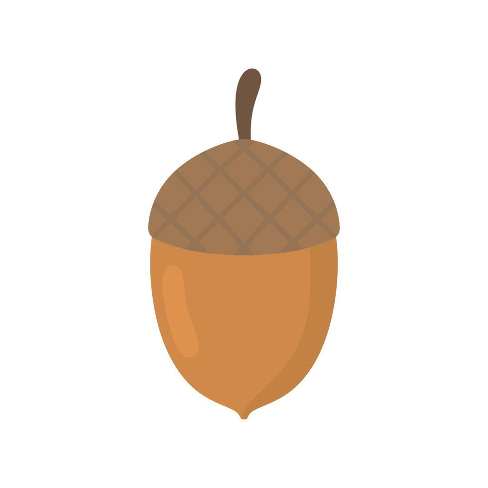 Acorn cartoon isolated illustration on white background. vector
