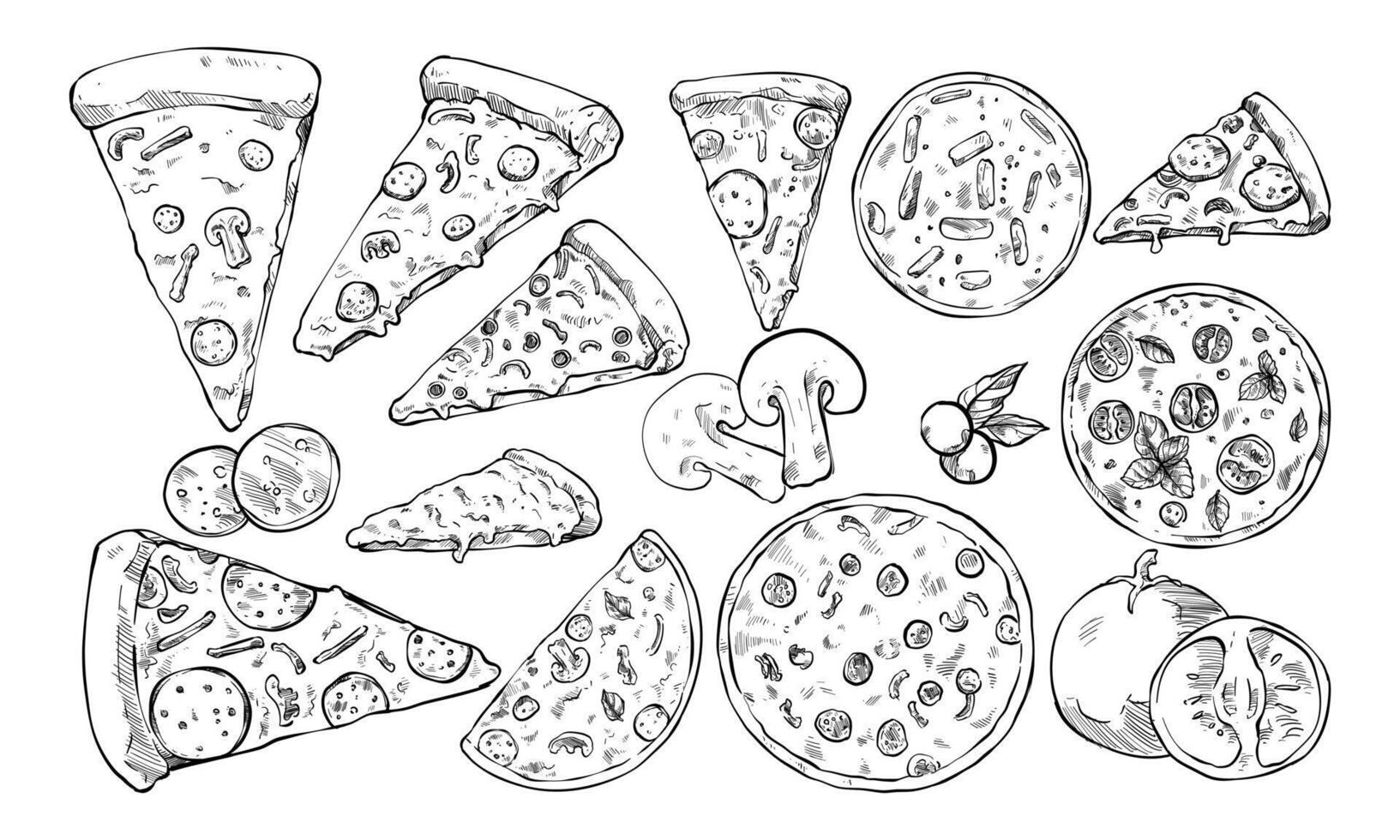 italian pizza handdrawn collection vector