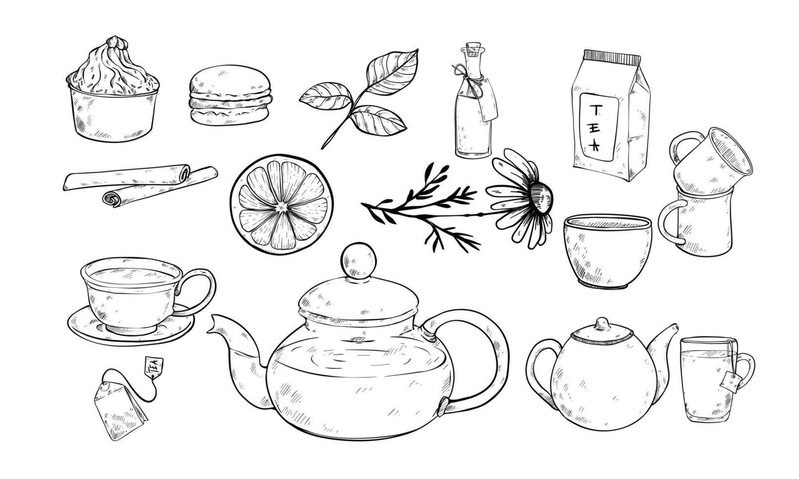 tea items handdrawn collection vector
