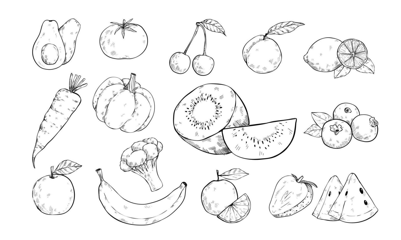 fruits and vegetable handdrawn collection vector