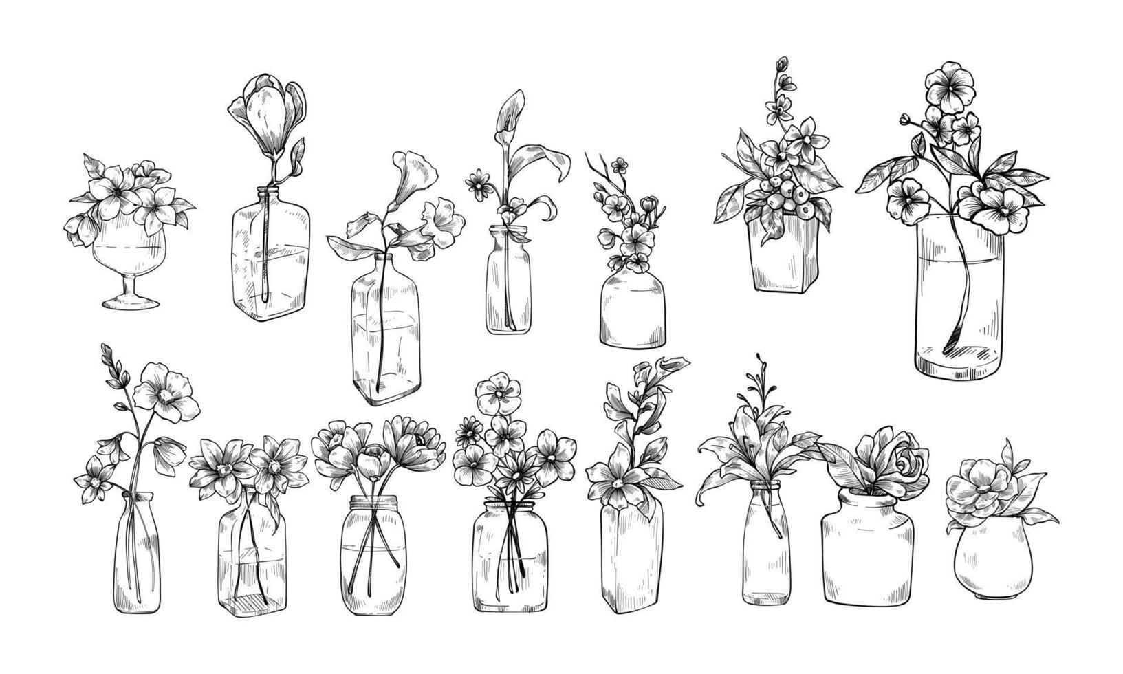 flower in vase handdrawn collection vector