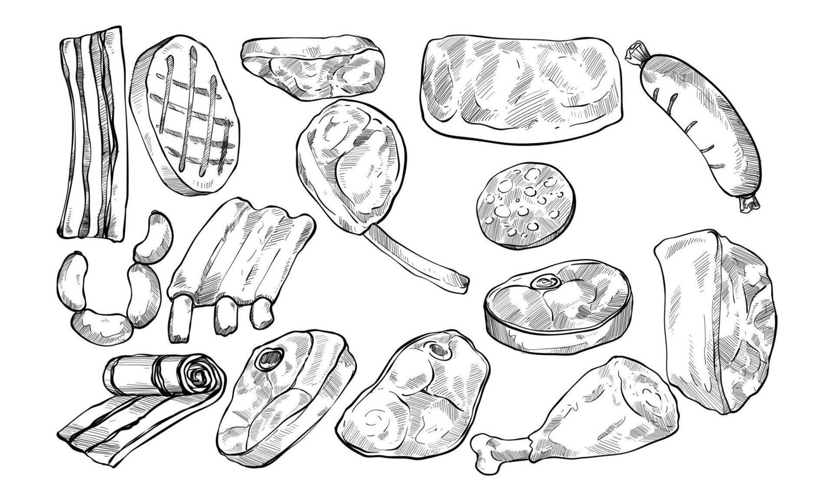 cutlet type handdrawn collection vector