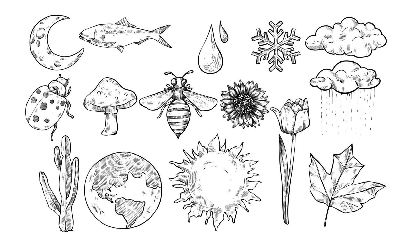 beautiful nature handdrawn collection vector