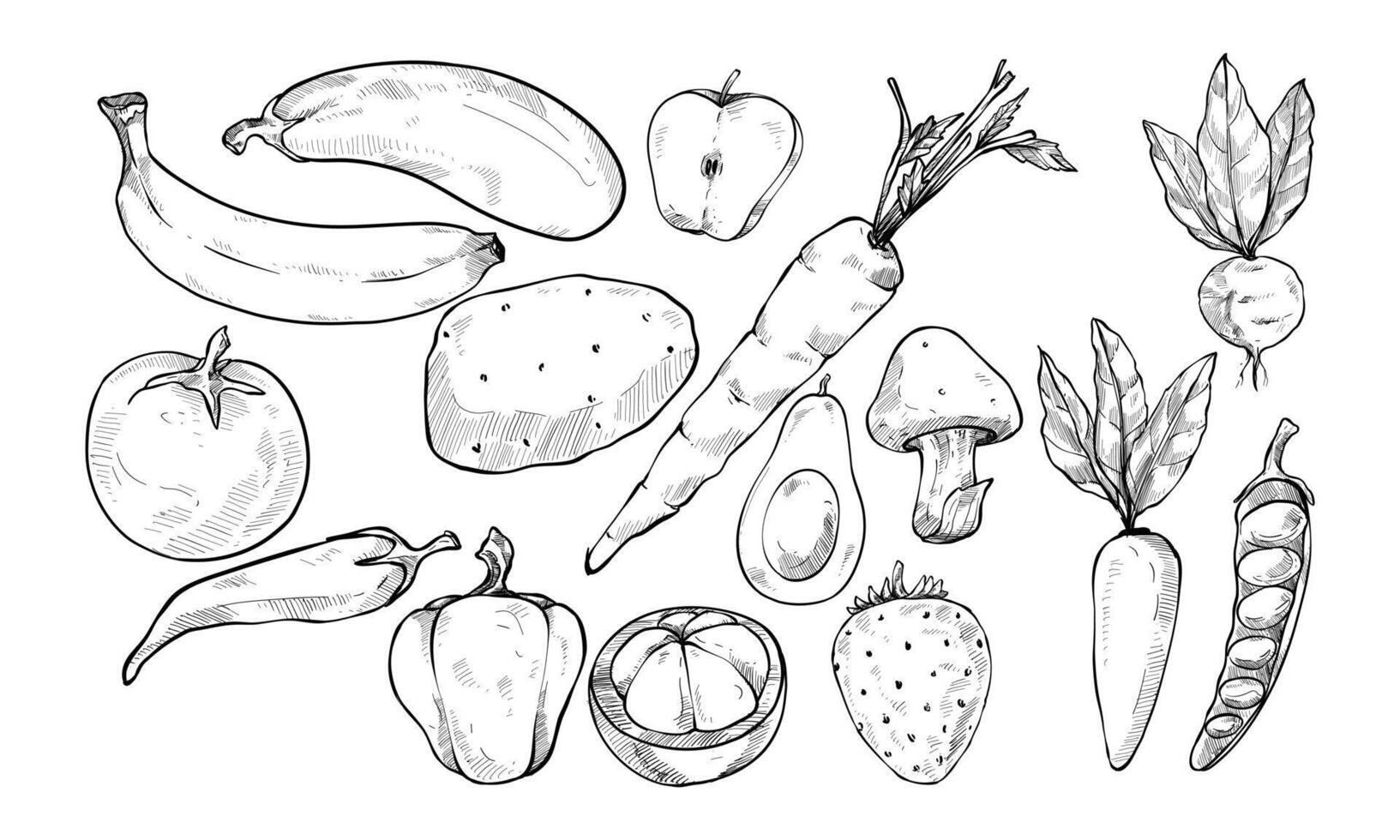 fruit and vegetables handdrawn collection vector