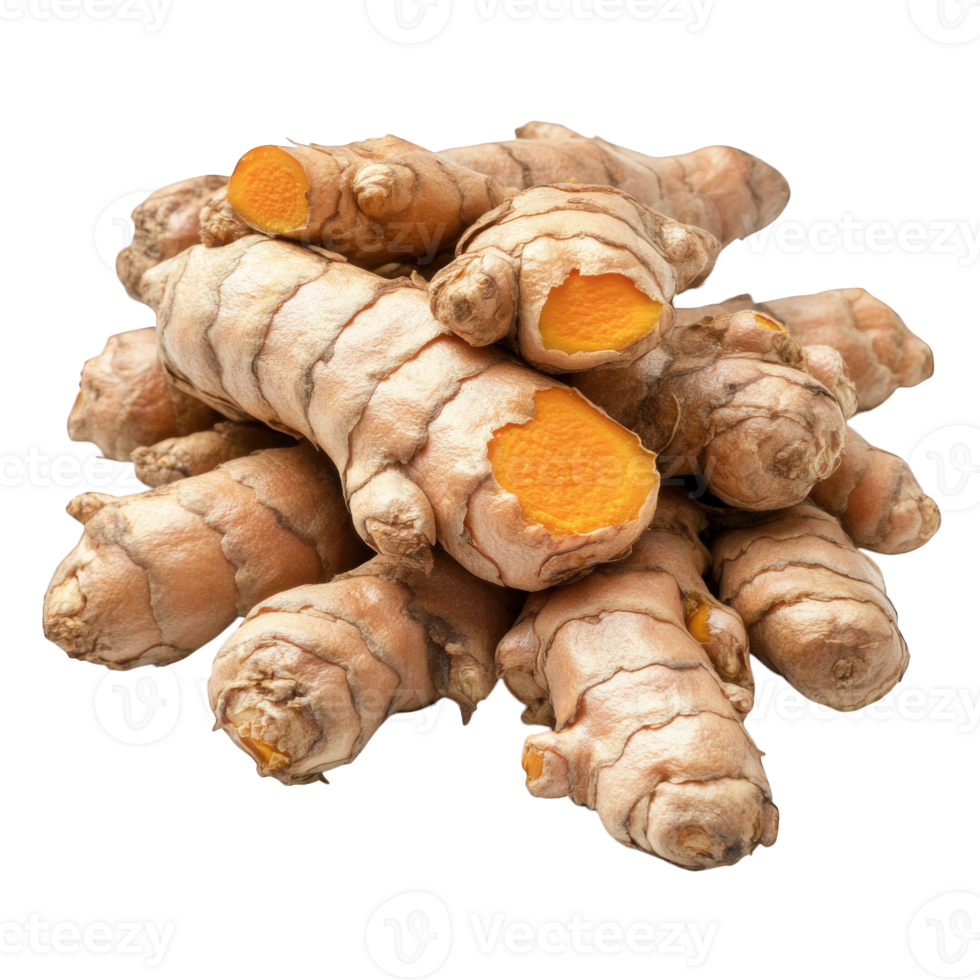 A Cluster of Fresh Turmeric Roots Isolated on Black, on transparent background png