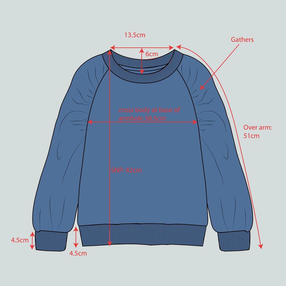 The measurements for a sweatshirt vector