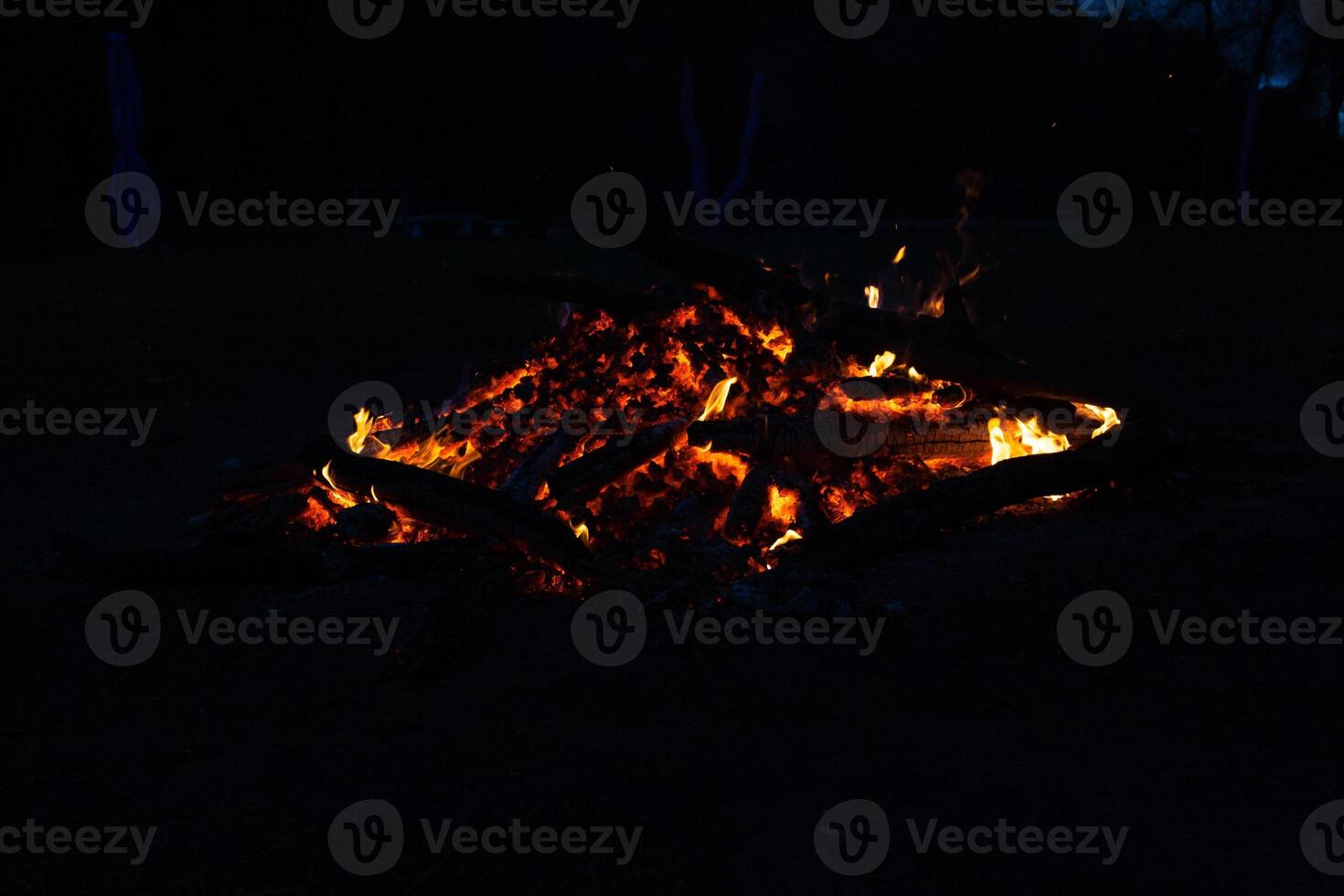 Beautiful fire flames on a campfire photo