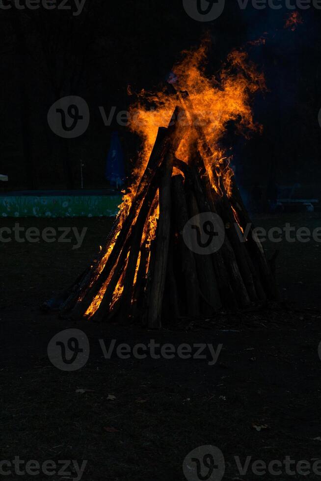 Beautiful fire flames on a campfire photo