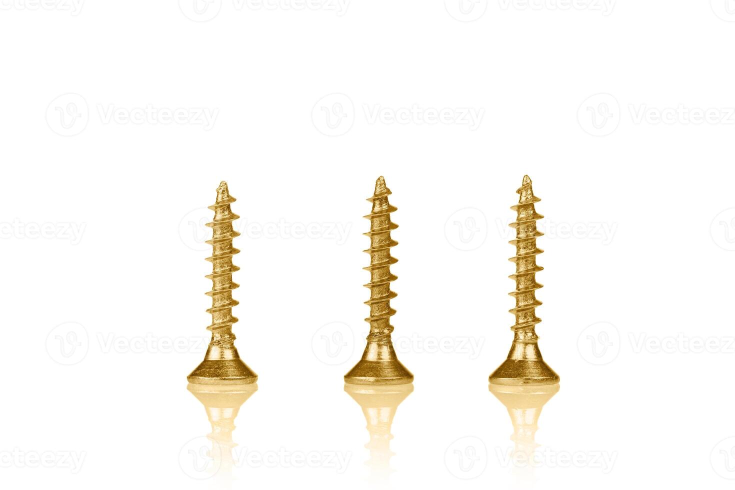 macro screw of golden color on a white background photo