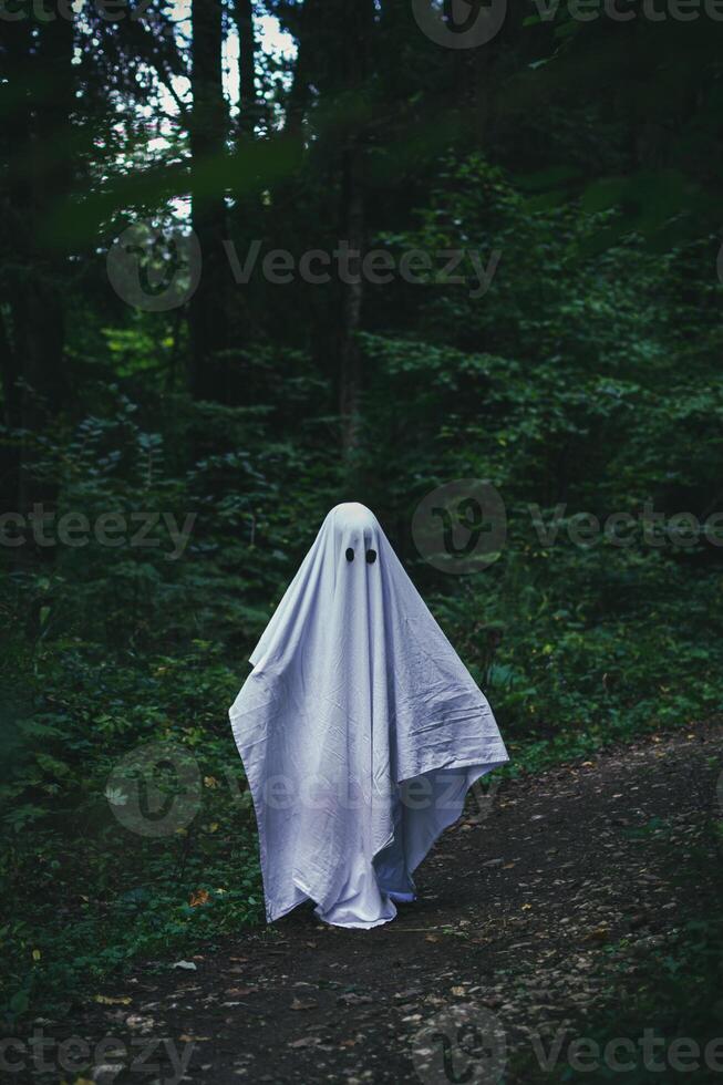 A child in a ghost costume among the trees in the forest photo