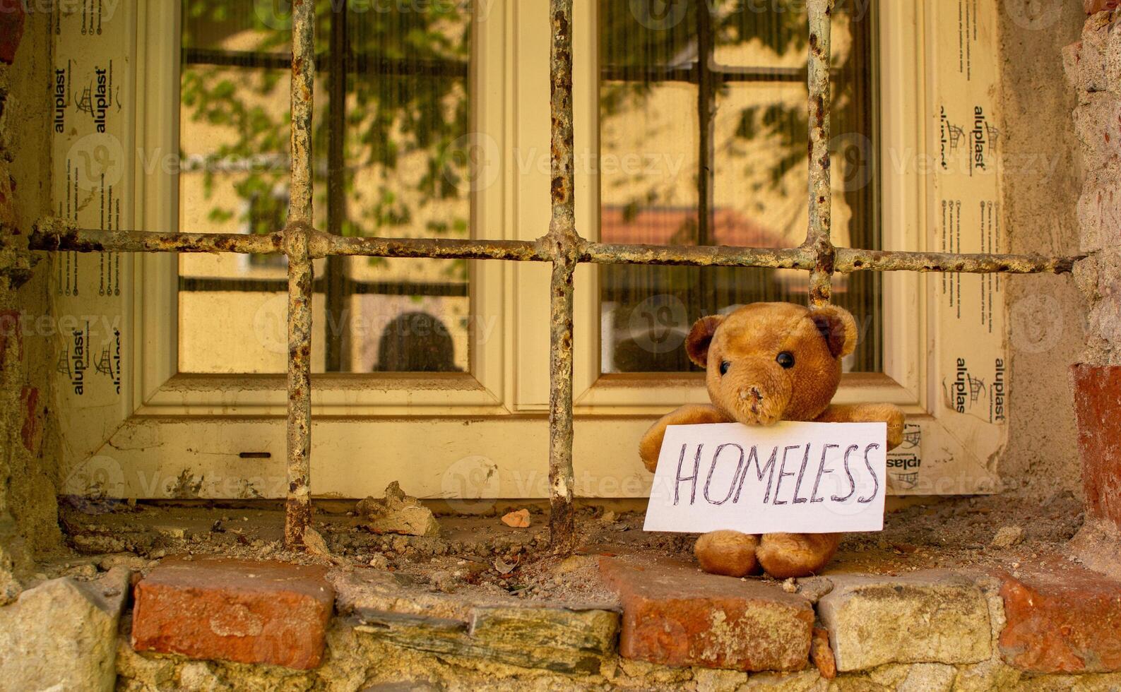 The teddy bear who lost his nose and his house photo