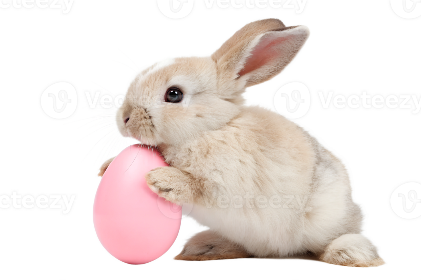Cute bunny with pink egg during spring celebration png