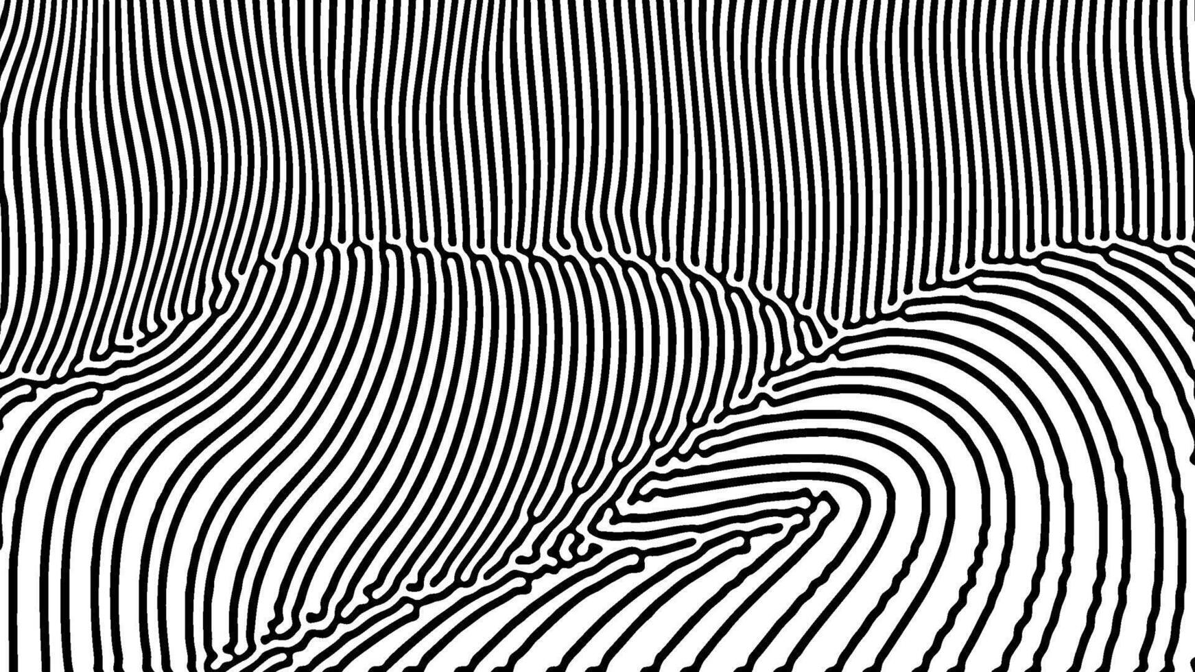 Abstract optical illusion with flowing black and white lines creating a dynamic wave effect vector