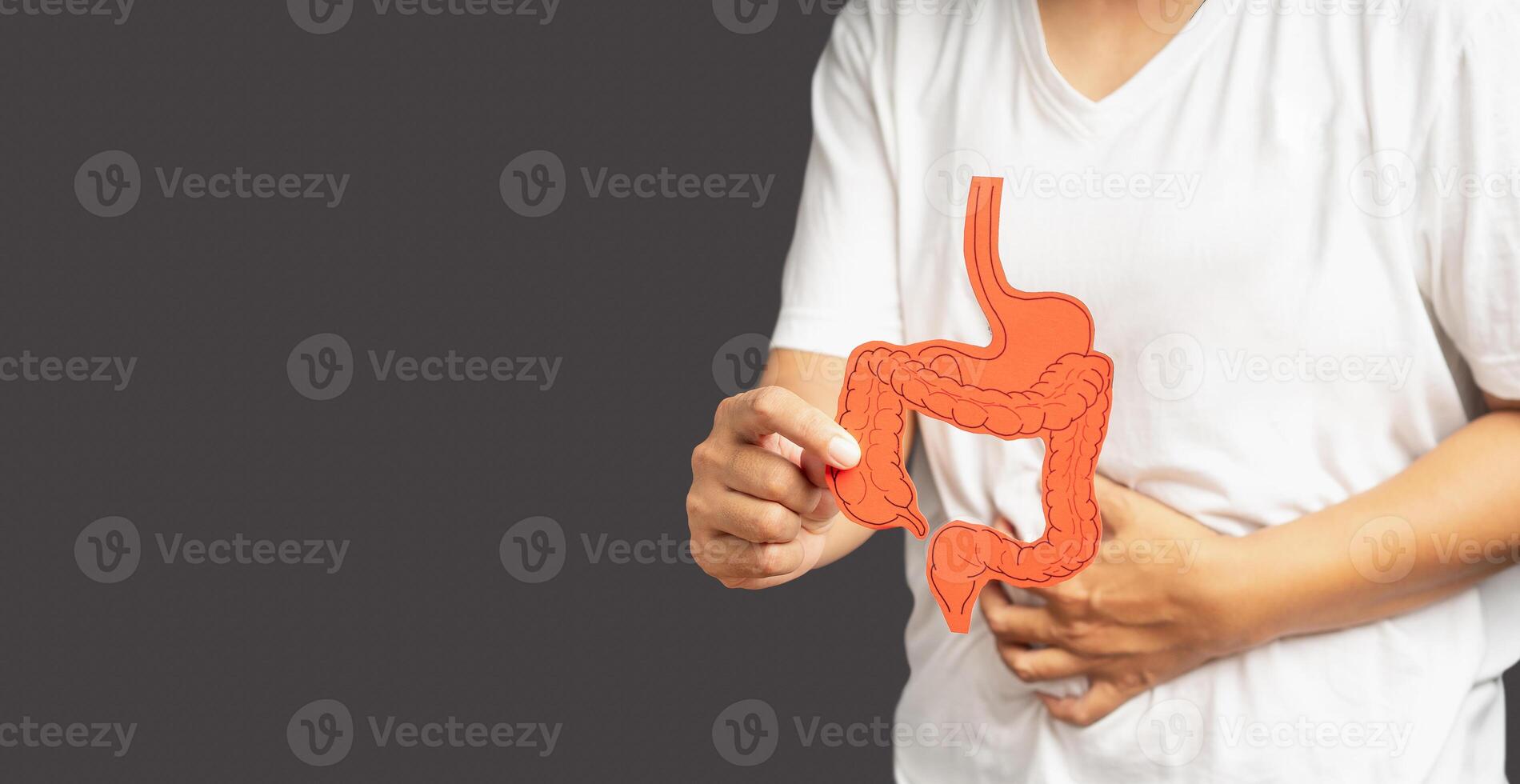 Hand holding a colon symbol and touching stomach painful suffering from gastrointestinal system disease photo