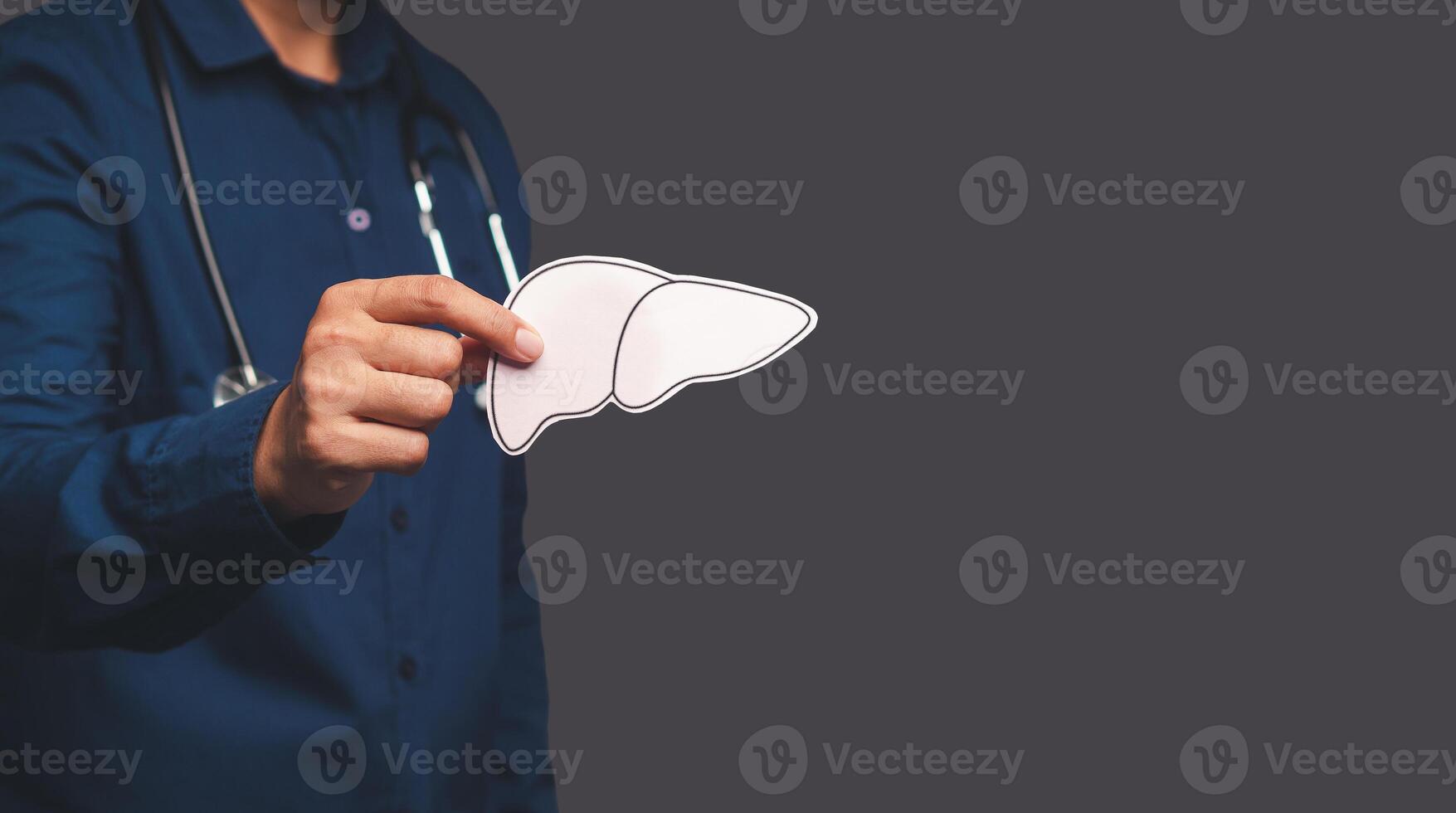 Doctor hand holding a liver shape symbol while standing on a gray background photo