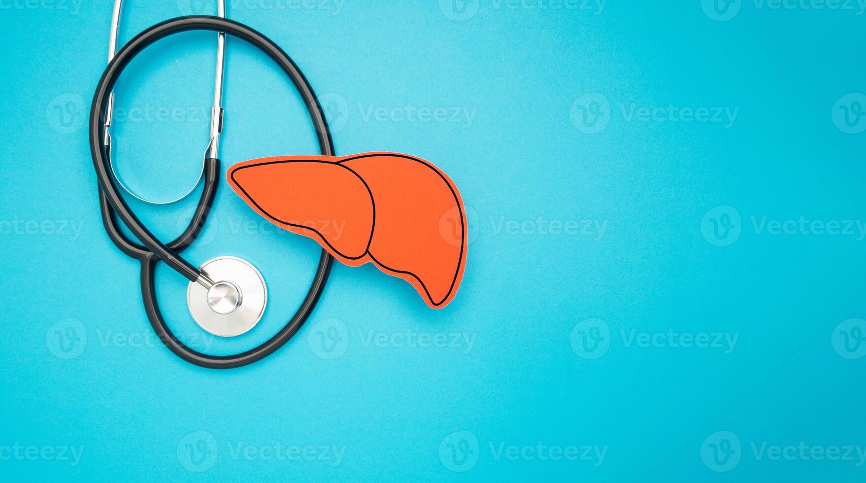 A stethoscope and liver shape made of paper are over a light blue background photo