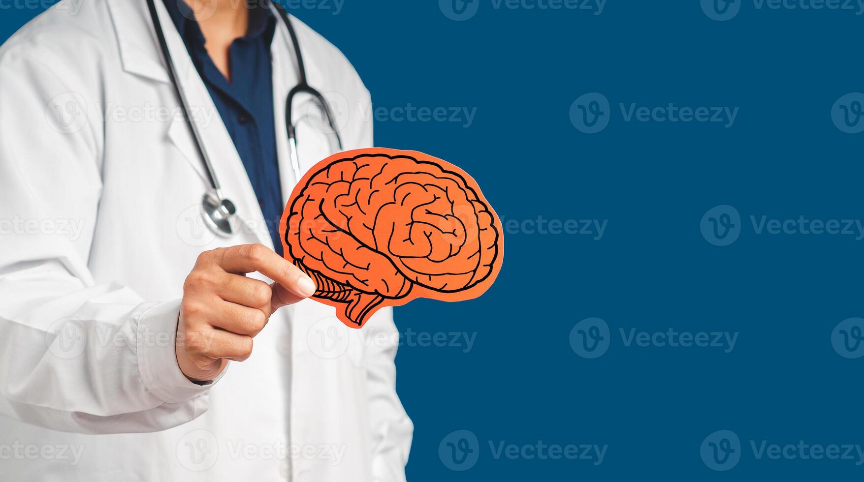 Midsection of a doctor in uniform holding a brain symbol while standing in the hospital photo