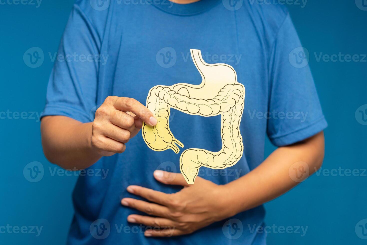 Hand holding a colon symbol and touching stomach painful suffering from stomachache causes of gastric ulcer, appendicitis, or gastrointestinal system disease photo
