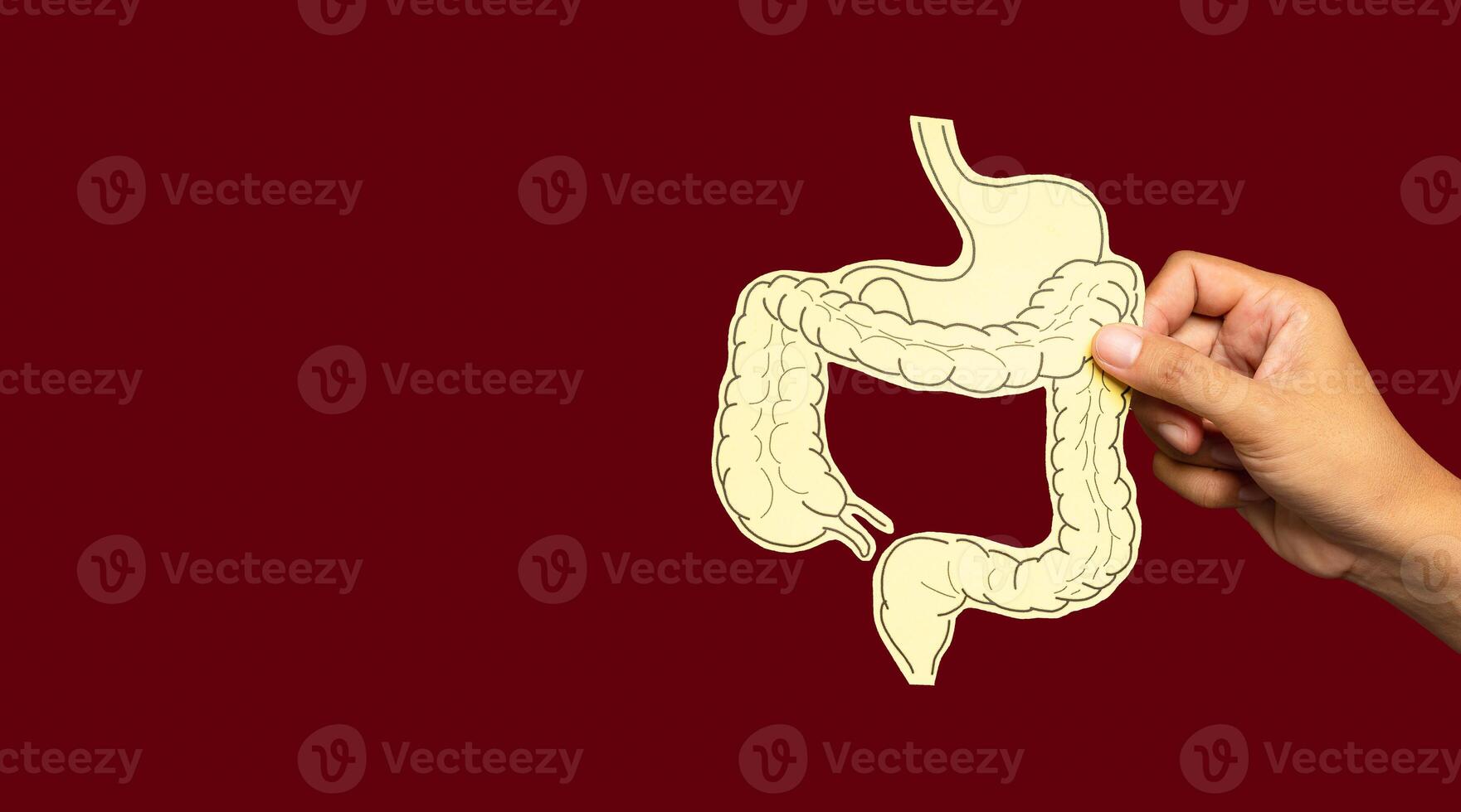 Hand holding a colon symbol against a red background. Treatment and prevention of constipation and diarrhea photo